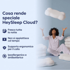 HeySleep Cloud - Notorious